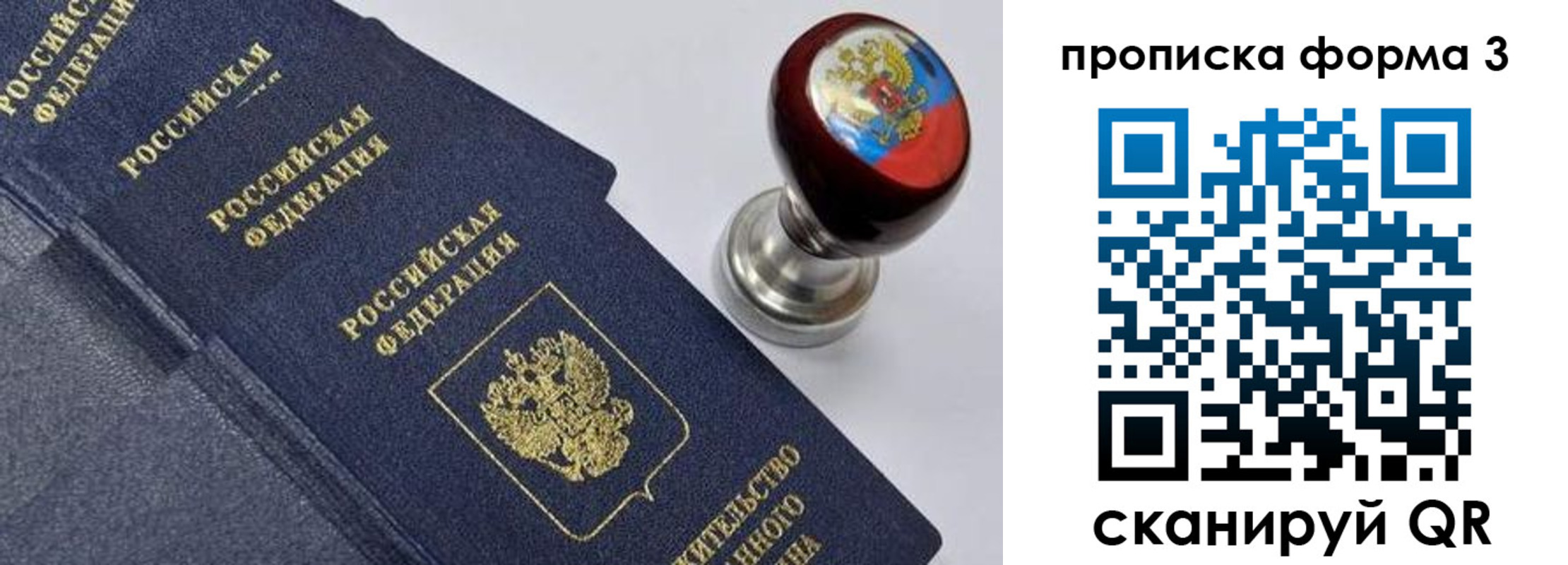 прописка 2025 в Лыткарино